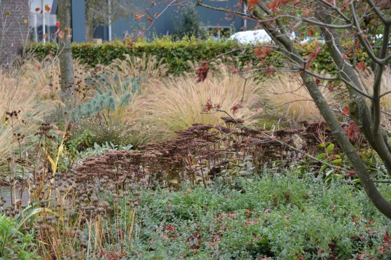 bep-8_1024x683