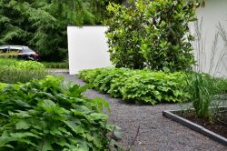 Riet 10 1023x683